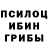 Галлюциногенные грибы GOLDEN TEACHER Preslav Firov