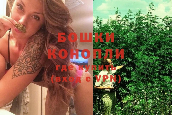 тгк Богданович