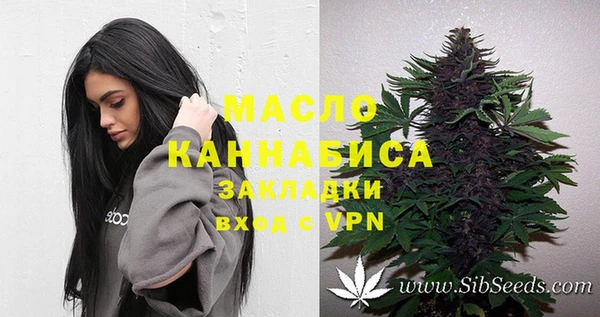 тгк Богданович