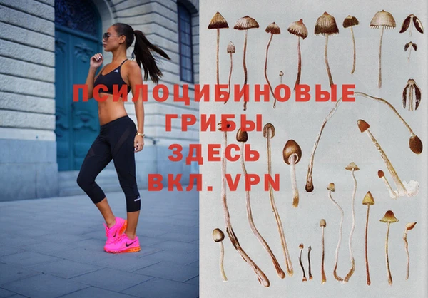 прущий лед Богородицк