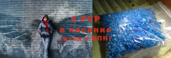 PSILOCYBIN Беломорск